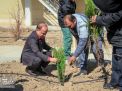 گزارش تصویری |  آیین غرس نهال و تجلیل از پرسنل زحمتکش فضای سبز و باغبانی دانشگاه صنعتی شاهرود  